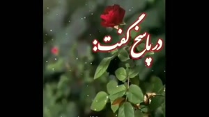 کلیپ صبح بخیر زیبا / دلتون شاد و روزتون قشنگ