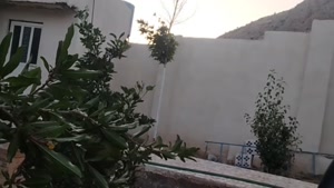 کرم گلوگاه انار چطور به وجود میاد؟ همراه با نکات مهم مبارزه 