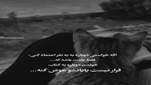 کلیپ سنگین و تیکه دار/ به کسی دوبار اعتماد نکن
