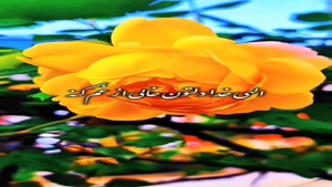 سلام و درود و صبح بخیر با دعای خوب برای شما