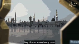 کلیپ رحلت رسول اکرم و شهادت امام حسن مجتبی برای استوری