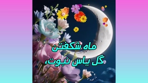 کلیپ تبریک حلول ماه ربیع الاول
