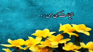 کلیپ شاد تبریک آغاز امامت امام زمان برای وضعیت واتساپ
