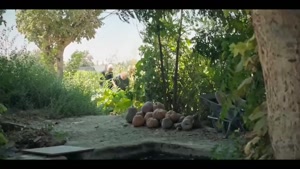 اجل معلق قسمت ۵ / فیلم اجل معلق قسمت پنجم