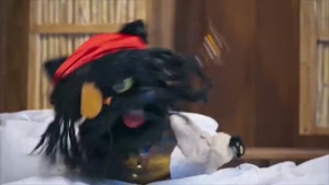 تماشای برنامه کارناوال / رویا میرعلمی در کارناوال