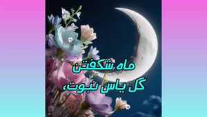 کلیپ اول ربیع الاول برای وضعیت واتساپ