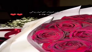 کلیپ تولدت مبارک رفیق / تولدت مبارک رفیق برای وضعیت
