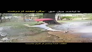 تا نباشد میل حق برگی نیوفتد از درخت