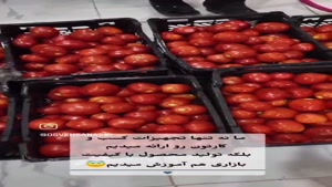 راه اندازی کسب و کار تضمینی تولید میوه خشک با تجهیزات خشک کن
