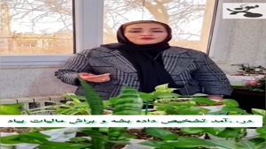 سه مدرکی که باید نگه داری 