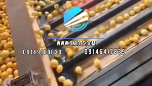 نوار نقاله کاربرد نوار نقاله در صنایع غذایی | 09149169630