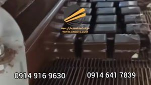 نوار نقاله | کاربر نوار نقاله در صنایع غذایی | 09149169630