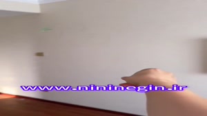 nininegin