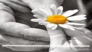 کلیپ زیبای روز جهانی پدر مبارک