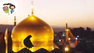 کلیپ شهادت امام رضا / شهادت امام رضا برای وضعیت