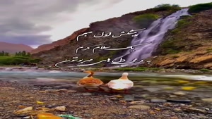 کلیپ صبح بخیر / روز تازه، حال خوب