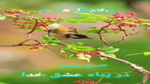 کلیپ سلام صبح بخیر / شادی و عشق تقدیم به تو