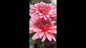 صبحتون بخیر، روزتون پر از آرامش