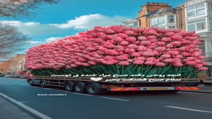 کلیپ زیبای صبح بخیر / شروع روز با لبخند