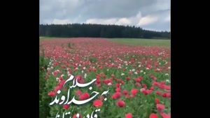 کلیپ صبح بخیر شاد و پرنشاط