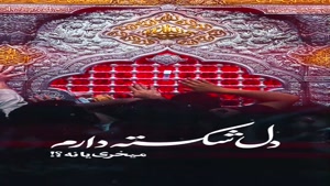 استوری اربعین در کربلا / دل شکسته‌ام و چشم‌انتظار توام