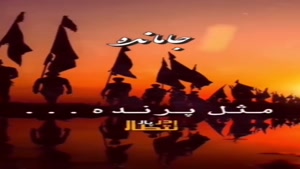 کلیپ اربعین حسینی / راهی که به کربلا ختم می‌شود