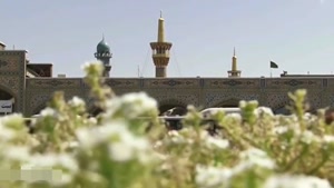 کلیپ ویژه شهادت امام رضا (ع)