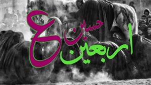 کلیپ استوری اربعین حسینی / دلدادگی در کربلا