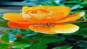 کلیپ صبح بخیر و دعای قشنگ / روزت پر از اتفاق‌های خوب