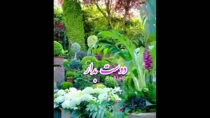 کلیپ صبح قشنگتون بخیر / شروع یه روز تازه با حس خوب