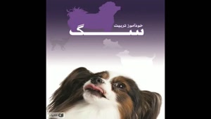 معرفی کتاب خوداموز تربیت سگ از هیثر هموندز