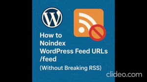 How To No Index Wordpress Feeds