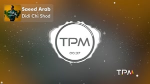  آهنگ دیدی چی شد - سعید عرب