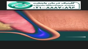 clinicdarman.com