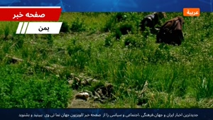صفحه خبر عربی - گشتی در صنعا - جهان نما تی وی