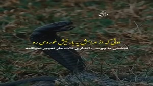 از اونی که زخم خوردی/کلیپ غمگین برای وضعیت 
