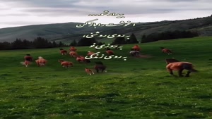 درود روزت روشن صبحت بخیر