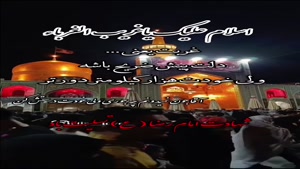 کلیپ شهادت امام رضا برای وضعیت/استوری شهادت امام رضا