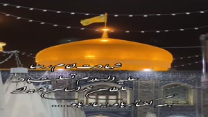 استوری شهادت امام رضا برای وضعیت/کلیپ شهادت امام رضا 1404