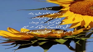 درود امروزت پر از نور خدا/کلیپ سلام صبح بخیر