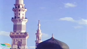 استوری شهادت پیامبر و امام حسن مجتبی