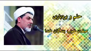 حلم و بردباری ، کلیپ سخنرانی کوتاه حجت الاسلام دکتر رفیعی