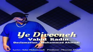 آهنگ وحید رادین یه دیوونه |  Vahid Radin - Ye Divooneh