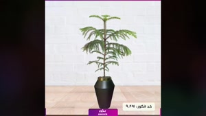 سفارش کاج آپارتمانی شیک