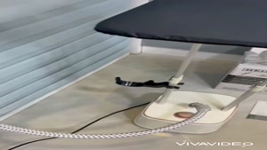 اتو بخار گر ایستاده هنریچ آلمان 