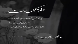 کلیپ پنجشنبه های دلتنگی/ کلیپ دلم تنگ است