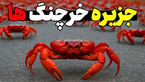 مستند جزیره خرچنگ ها - ماجراجویی در میان حیوانات کمیاب 