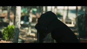 دانلود سریال ایرانی از یاد رفته قسمت ۸ کامل