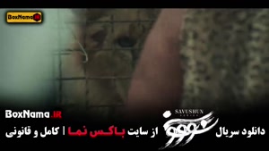 دانلو سریال سووشون قسمت ۸