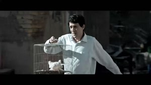 دوزیست (فیلم های جواد عزتی - فیلم های پژمان جمشیدی)